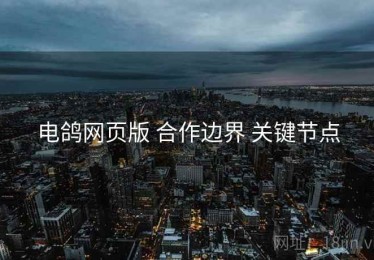 电鸽网页版 合作边界 关键节点