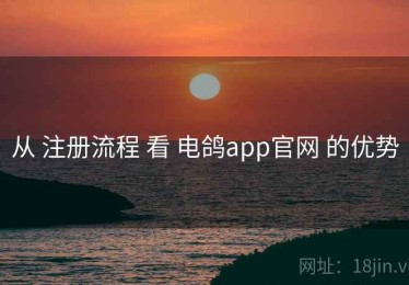 从 注册流程 看 电鸽app官网 的优势