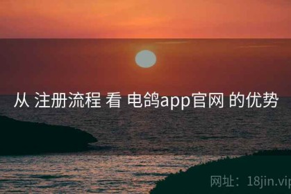 从 注册流程 看 电鸽app官网 的优势