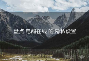 盘点 电鸽在线 的 隐私设置