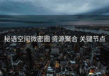秘语空间微密圈 资源聚合 关键节点