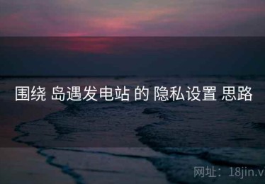 围绕 岛遇发电站 的 隐私设置 思路