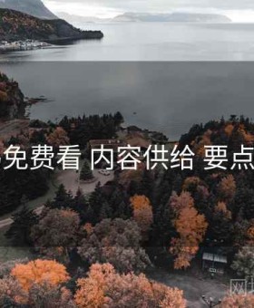 电鸽免费看 内容供给 要点合辑