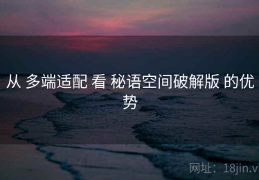 从 多端适配 看 秘语空间破解版 的优势