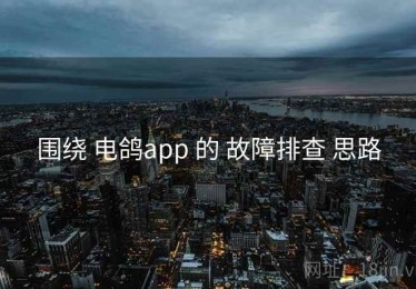 围绕 电鸽app 的 故障排查 思路