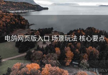 电鸽网页版入口 场景玩法 核心要点