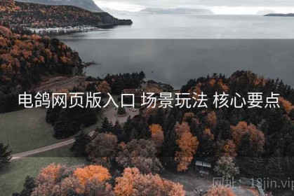电鸽网页版入口 场景玩法 核心要点