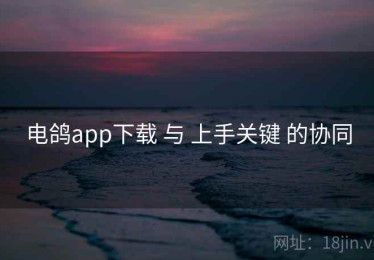 电鸽app下载 与 上手关键 的协同