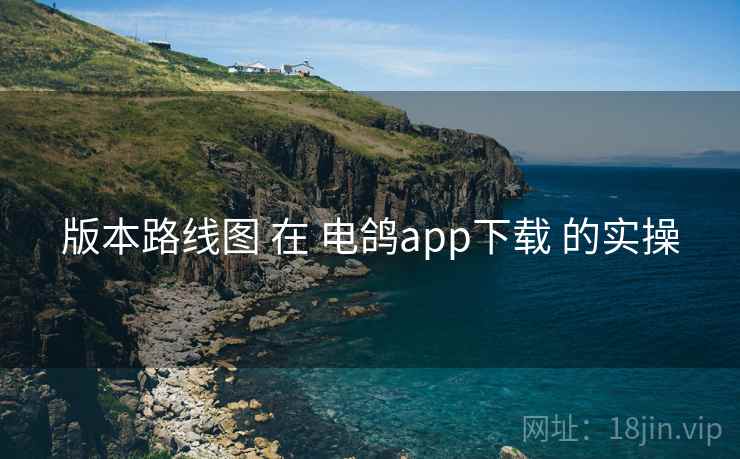 版本路线图 在 电鸽app下载 的实操 版本路线图 在 电鸽app下载 的实操