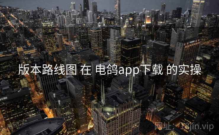 版本路线图 在 电鸽app下载 的实操 版本路线图 在 电鸽app下载 的实操