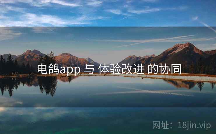 电鸽app 与 体验改进 的协同 电鸽app 与 体验改进 的协同