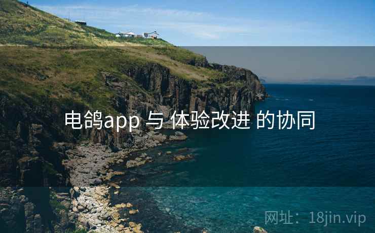 电鸽app 与 体验改进 的协同 电鸽app 与 体验改进 的协同