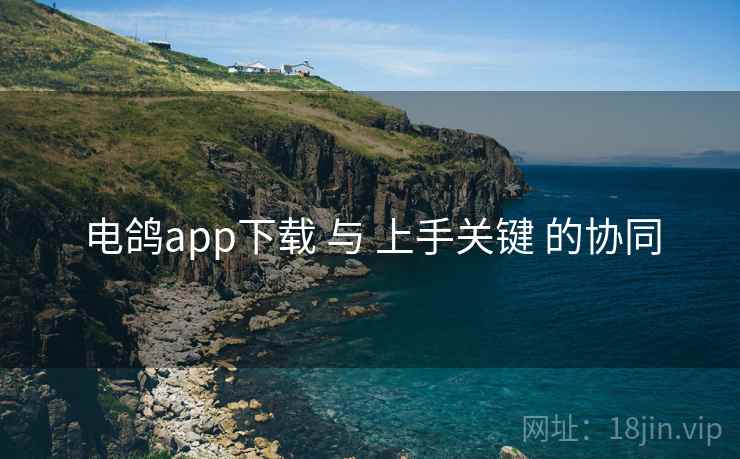 电鸽app下载 与 上手关键 的协同 电鸽app下载 与 上手关键 的协同