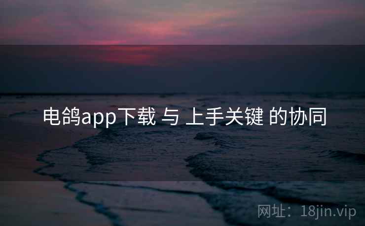 电鸽app下载 与 上手关键 的协同 电鸽app下载 与 上手关键 的协同