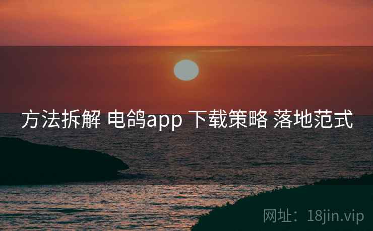 方法拆解 电鸽app 下载策略 落地范式 方法拆解 电鸽app 下载策略 落地范式