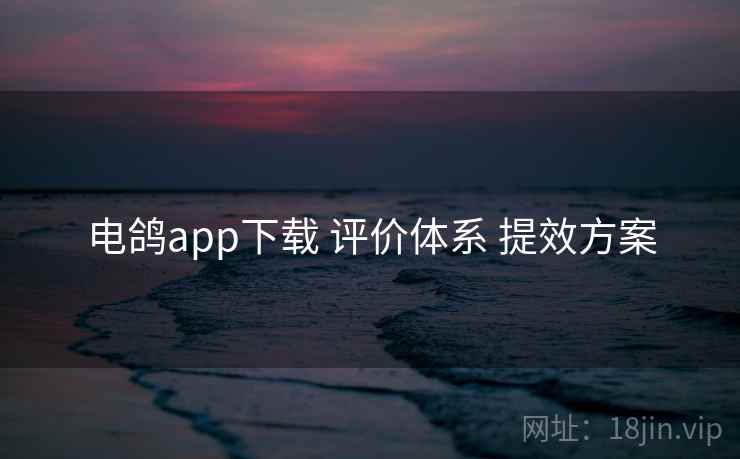 电鸽app下载 评价体系 提效方案 电鸽app下载 评价体系 提效方案