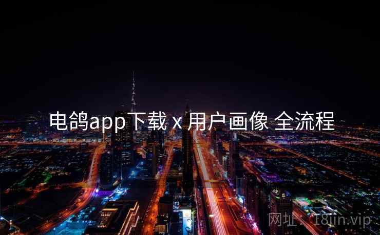 电鸽app下载 x 用户画像 全流程 电鸽app下载 x 用户画像 全流程