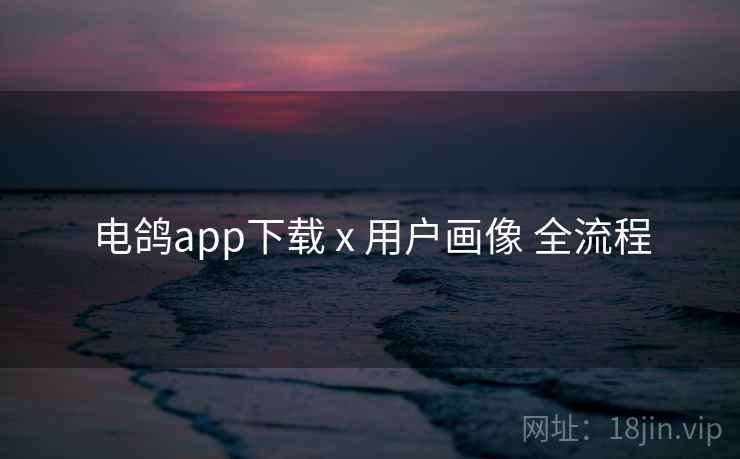 电鸽app下载 x 用户画像 全流程 电鸽app下载 x 用户画像 全流程