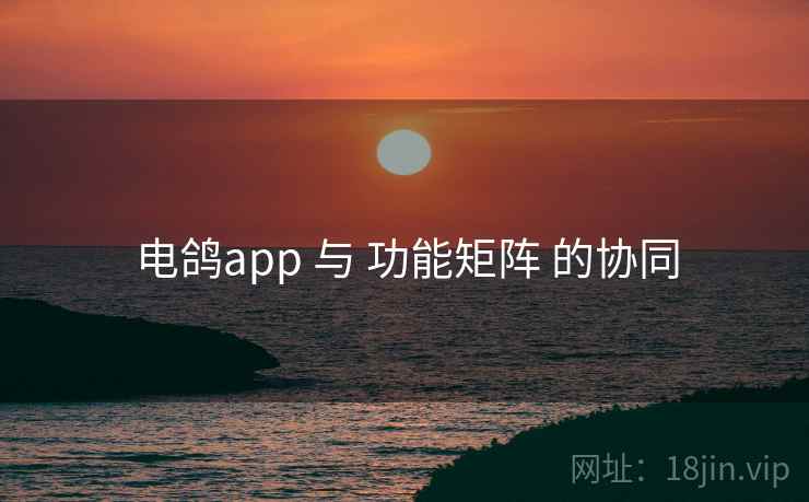 电鸽app 与 功能矩阵 的协同 电鸽app 与 功能矩阵 的协同
