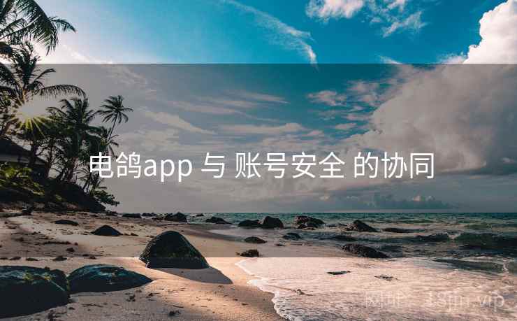 电鸽app 与 账号安全 的协同 电鸽app 与 账号安全 的协同