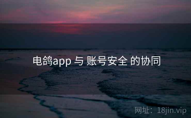 电鸽app 与 账号安全 的协同 电鸽app 与 账号安全 的协同